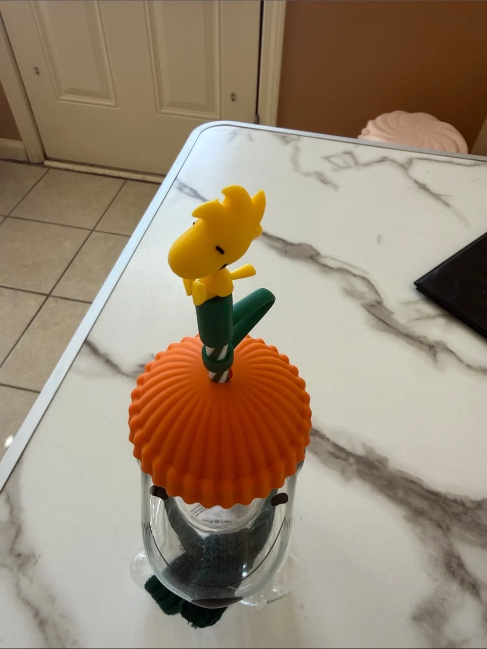 Snoopy x Starbucks Orange Hat, Green Scarf